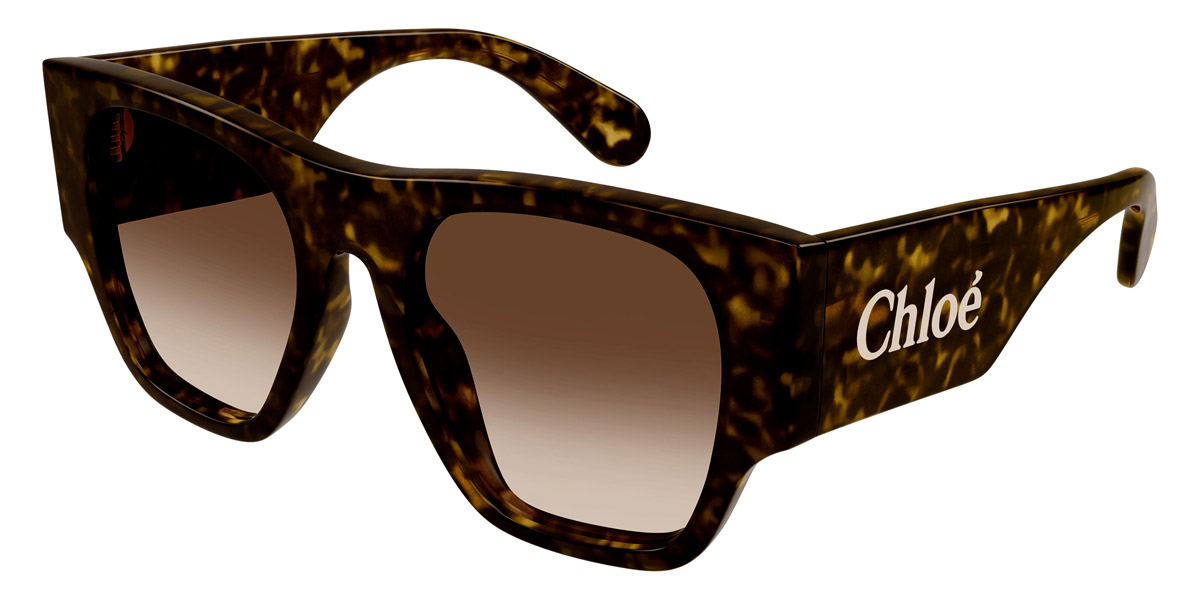 Color: Havana (002) - Chloé CH0233S00253