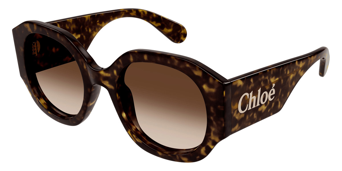 Color: Havana (002) - Chloé CH0234S00253