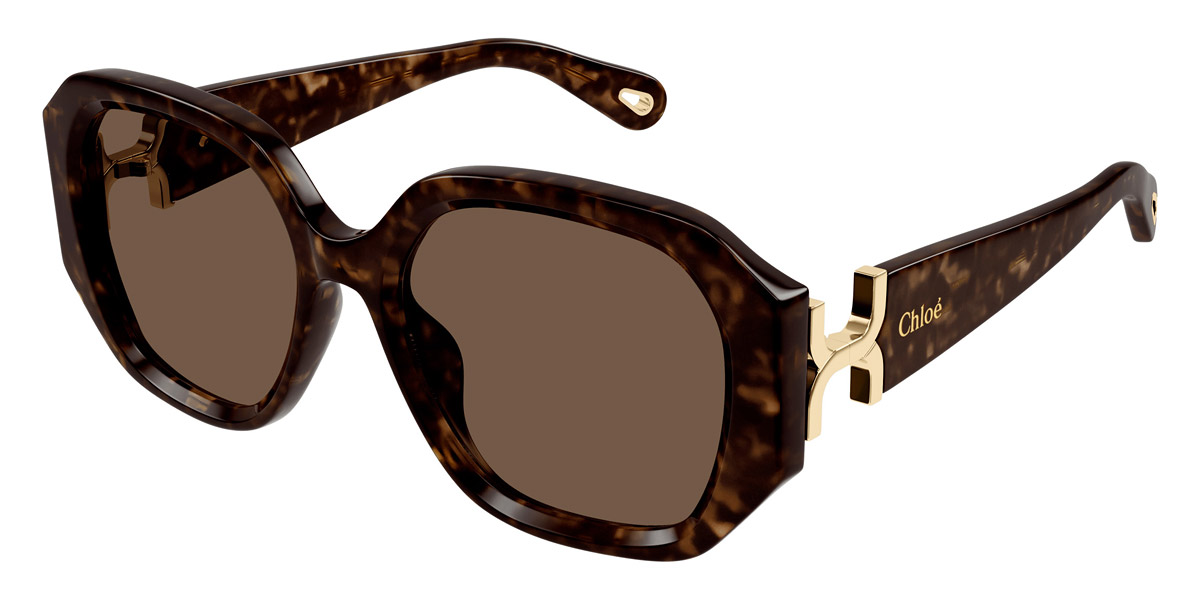 Color: Havana (002) - Chloé CH0236S00256