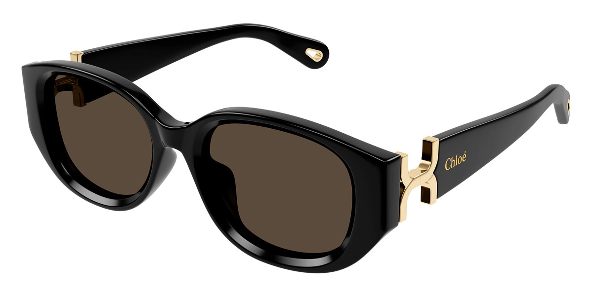 Color: Black (001) - Chloé CH0237SK00154