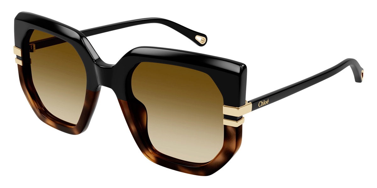 Color: Black (003) - Chloé CH0240S00353