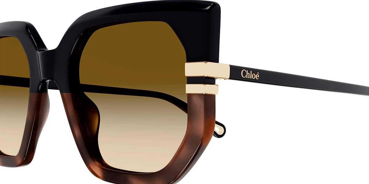 Color: Black (003) - Chloé CH0240S00353