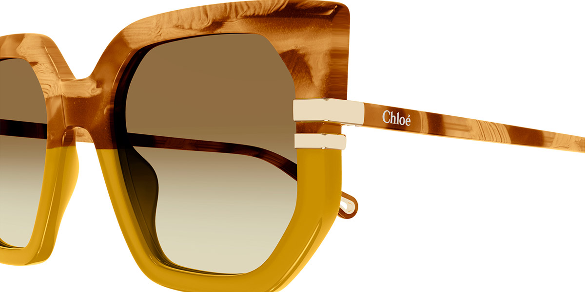 Color: Brown (004) - Chloé CH0240S00453