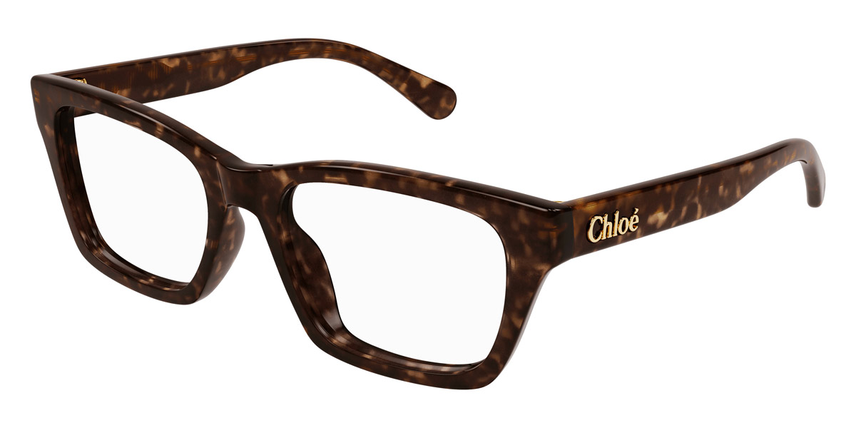 Color: Havana (006) - Chloé CH0242O00653