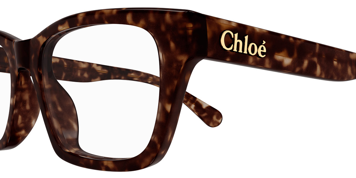 Color: Havana (006) - Chloé CH0242O00653