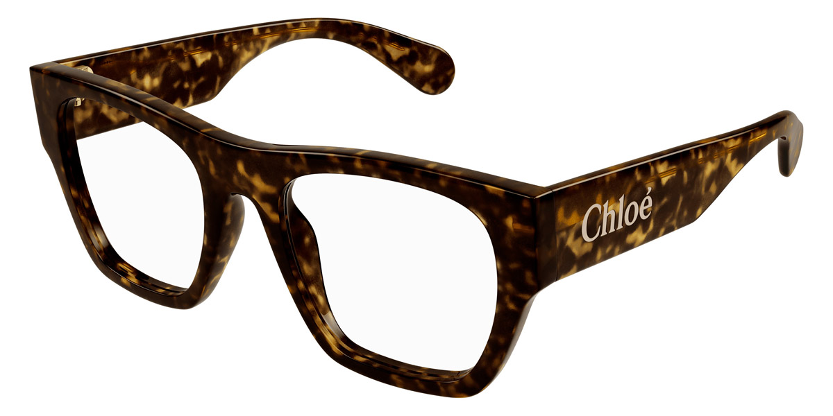 Color: Havana (002) - Chloé CH0250O00252