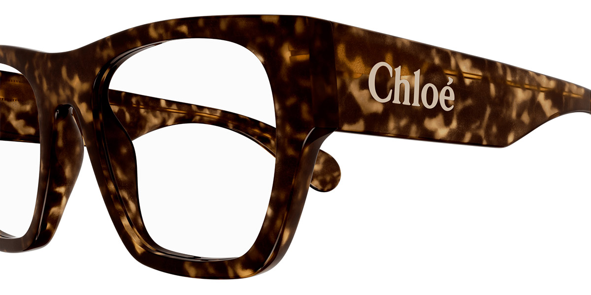 Color: Havana (002) - Chloé CH0250O00252