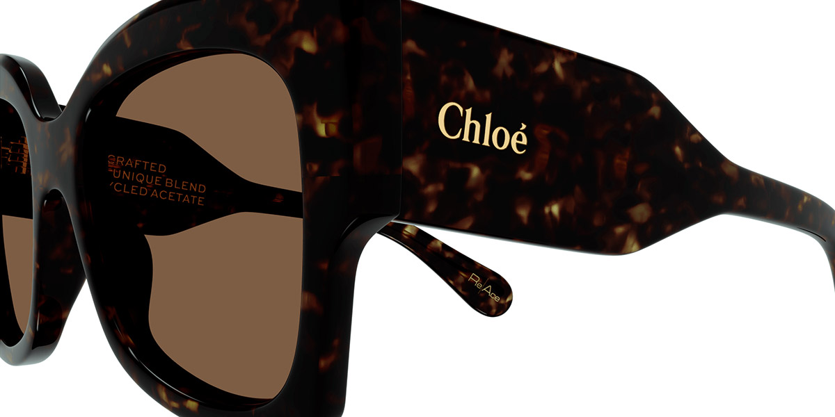 Color: Havana (002) - Chloé CH0252S00255