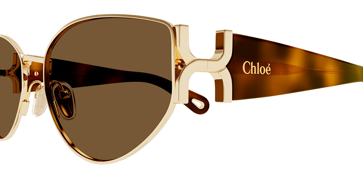 Color: Gold/Havana (002) - Chloé CH0260S00259