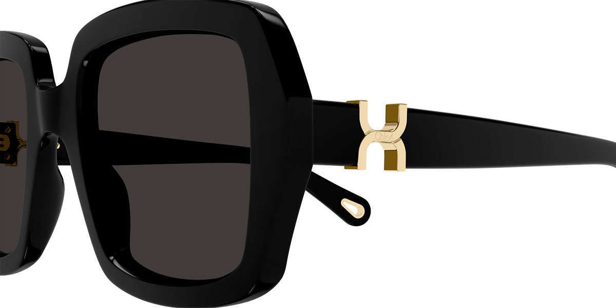 Color: Black (001) - Chloé CH0301S00152