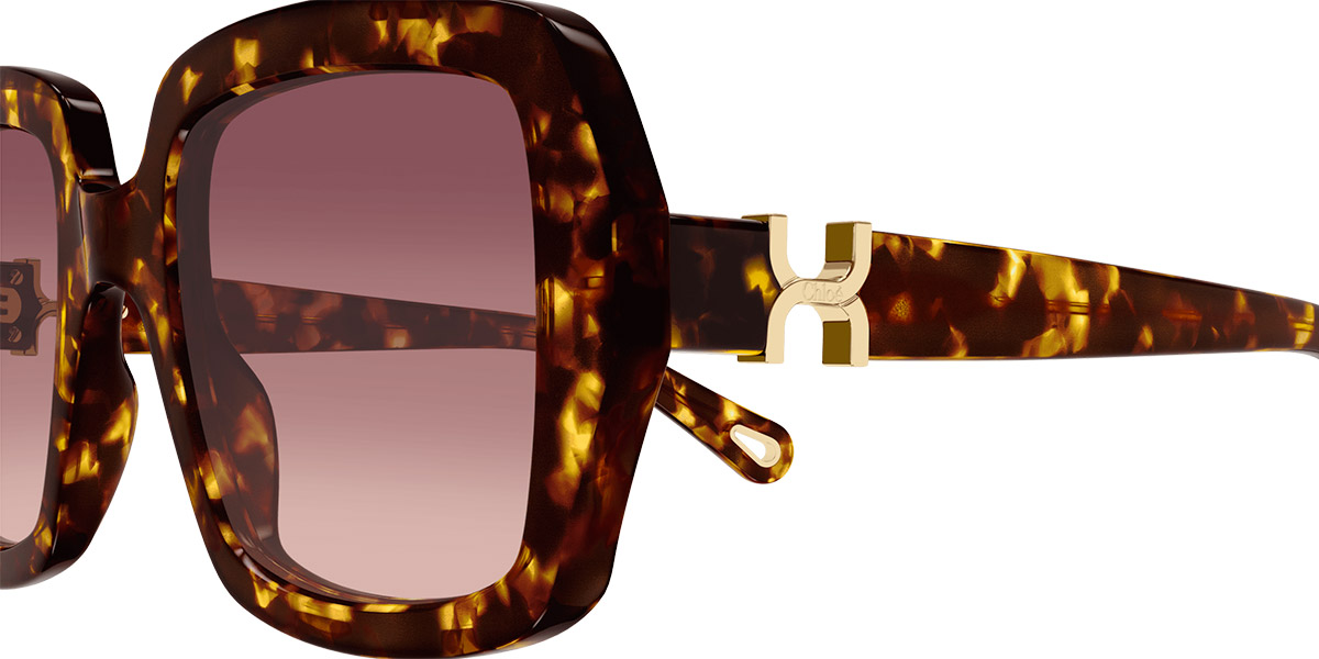 Color: Havana (002) - Chloé CH0301S00252