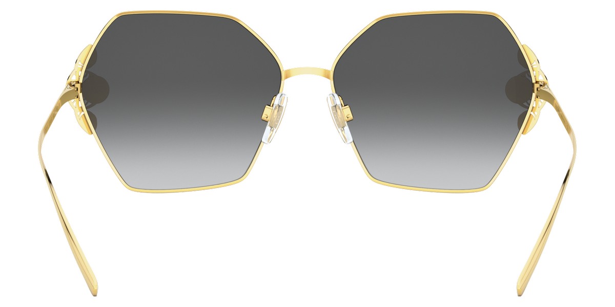 Dolce & Gabbana™ - DG2253H