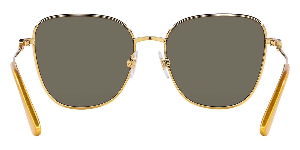 Dolce & Gabbana™ - DG2293