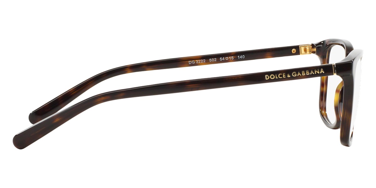 Color: Havana (502) - Dolce & Gabbana DG322250252