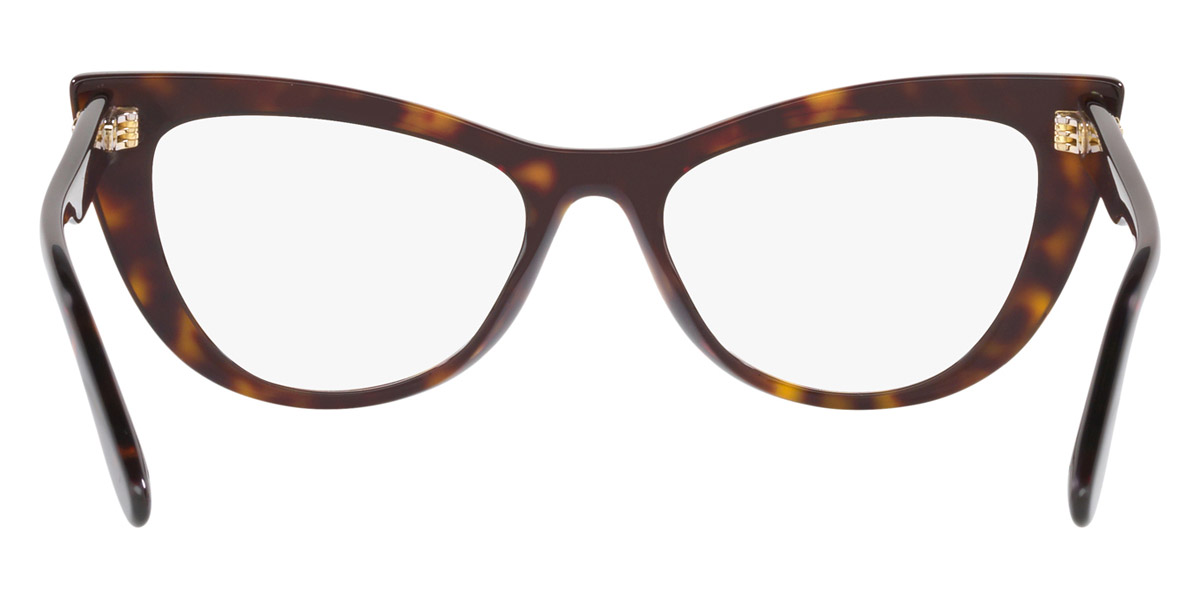 Color: Havana (502) - Dolce & Gabbana DG335450252