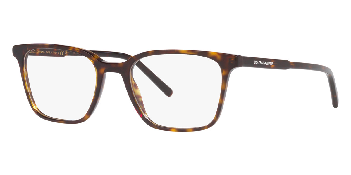 Color: Havana (502) - Dolce & Gabbana DG336550252