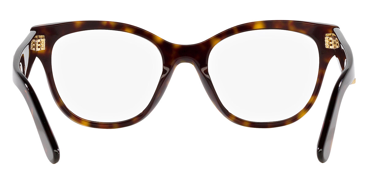 Color: Havana (502) - Dolce & Gabbana DG3371F50253