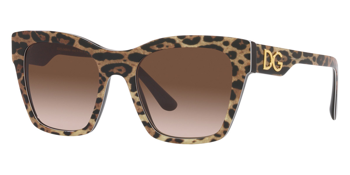Color: Leopard Brown on Black (316313) - Dolce & Gabbana DG438431631353