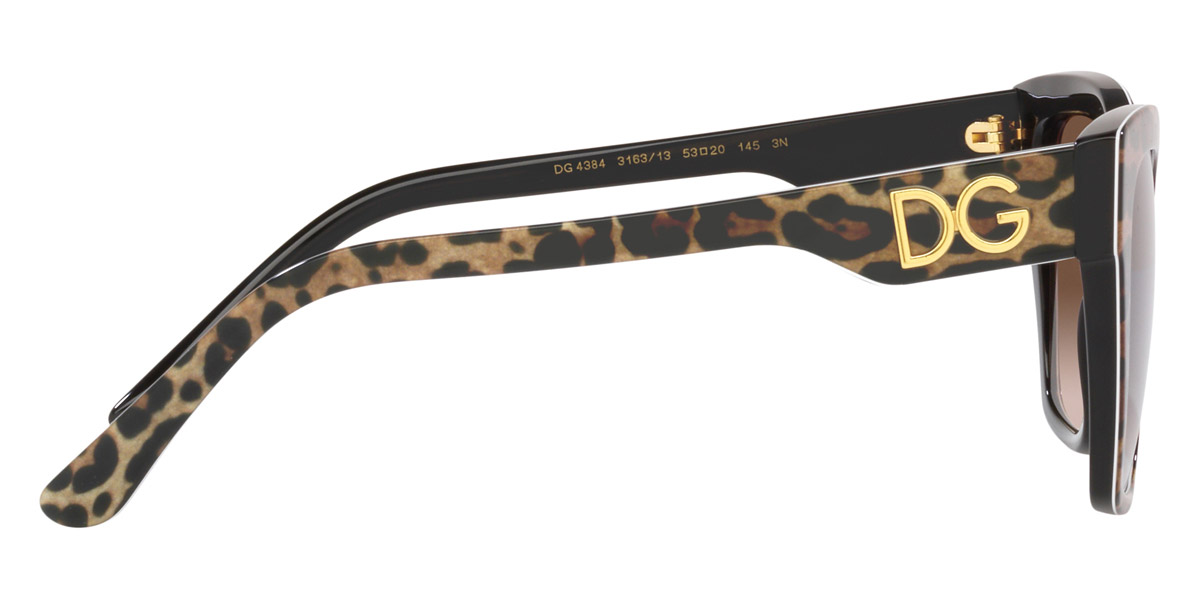 Color: Leopard Brown on Black (316313) - Dolce & Gabbana DG438431631353