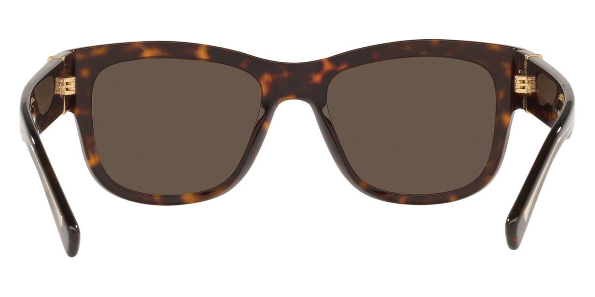 Color: Havana (502/73) - Dolce & Gabbana DG4390502/7354