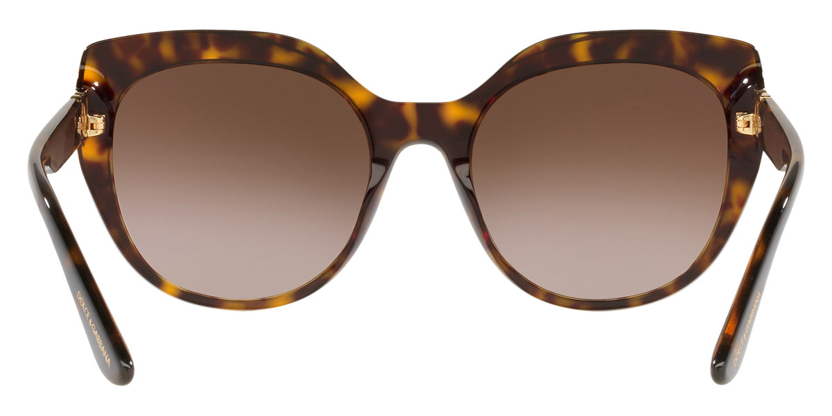 Color: Havana (502/13) - Dolce & Gabbana DG4392F502/1356