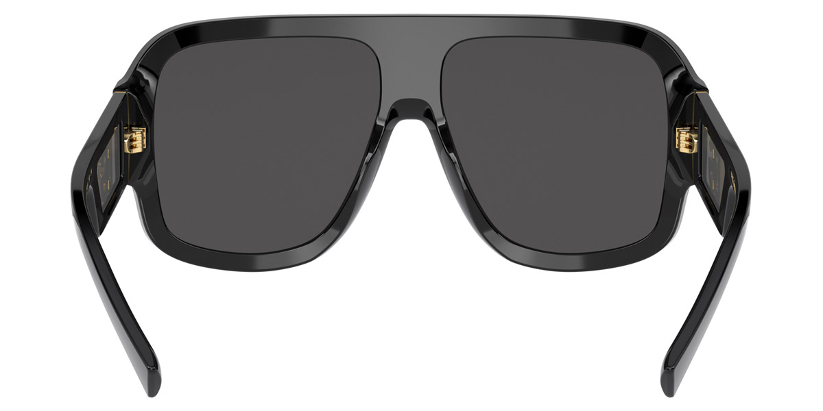 Color: Black (501/87) - Dolce & Gabbana DG4401501/8758