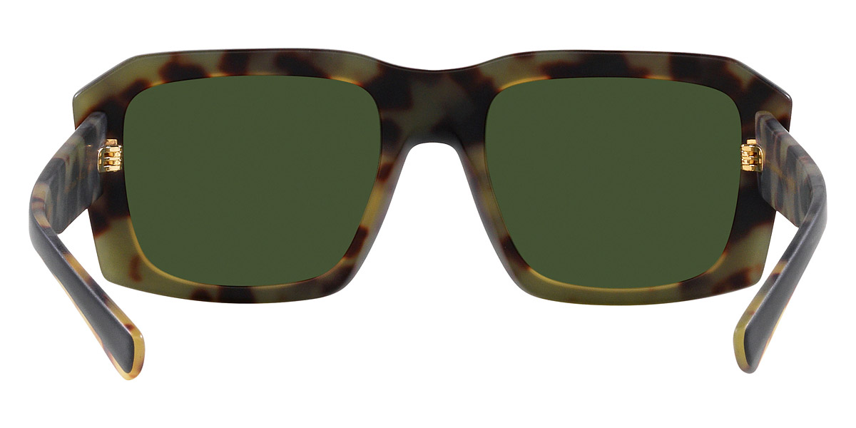 Color: Matte Black on Yellow Havana (340471) - Dolce & Gabbana DG4430F34047154