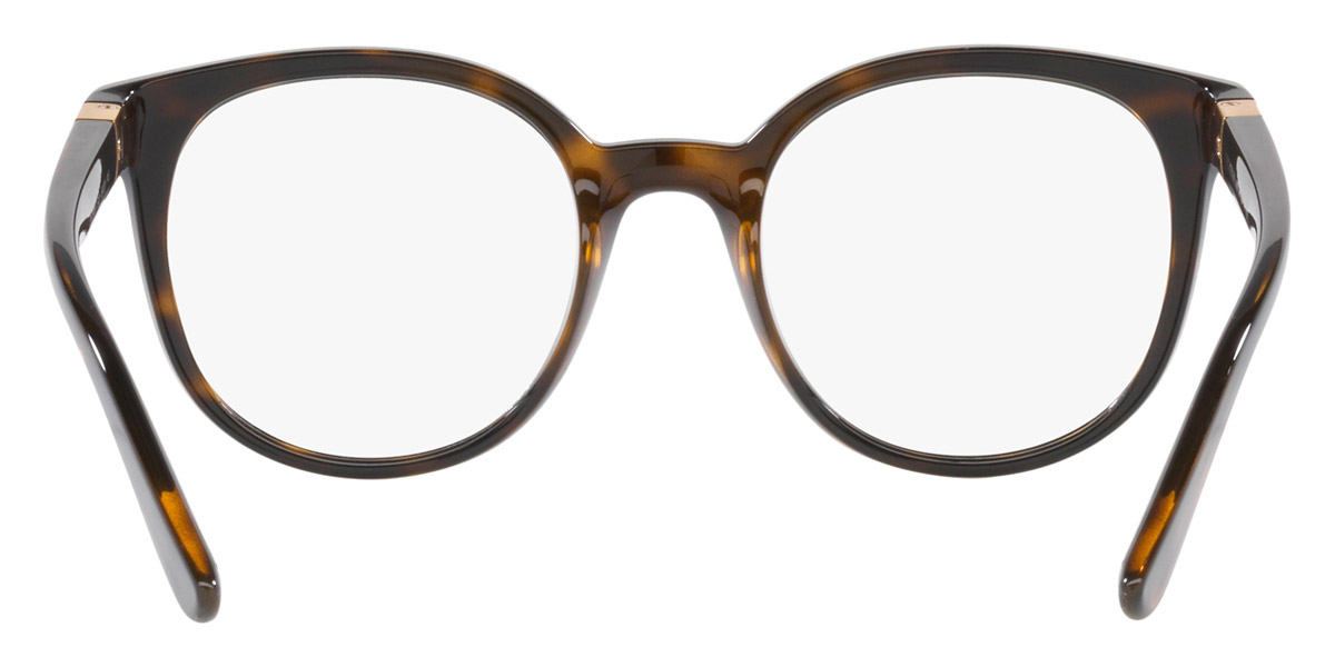 Color: Havana (502) - Dolce & Gabbana DG508350249