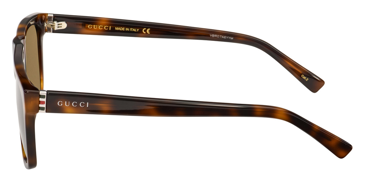 Color: Ruthenium/Havana (003) - Gucci GG0450S00357