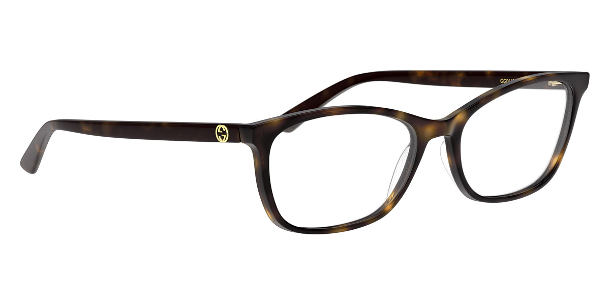 Color: Havana (002) - Gucci GG0613O00252