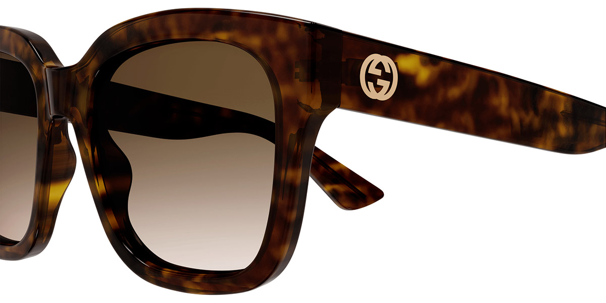 Color: Havana (003) - Gucci GG1338S00354