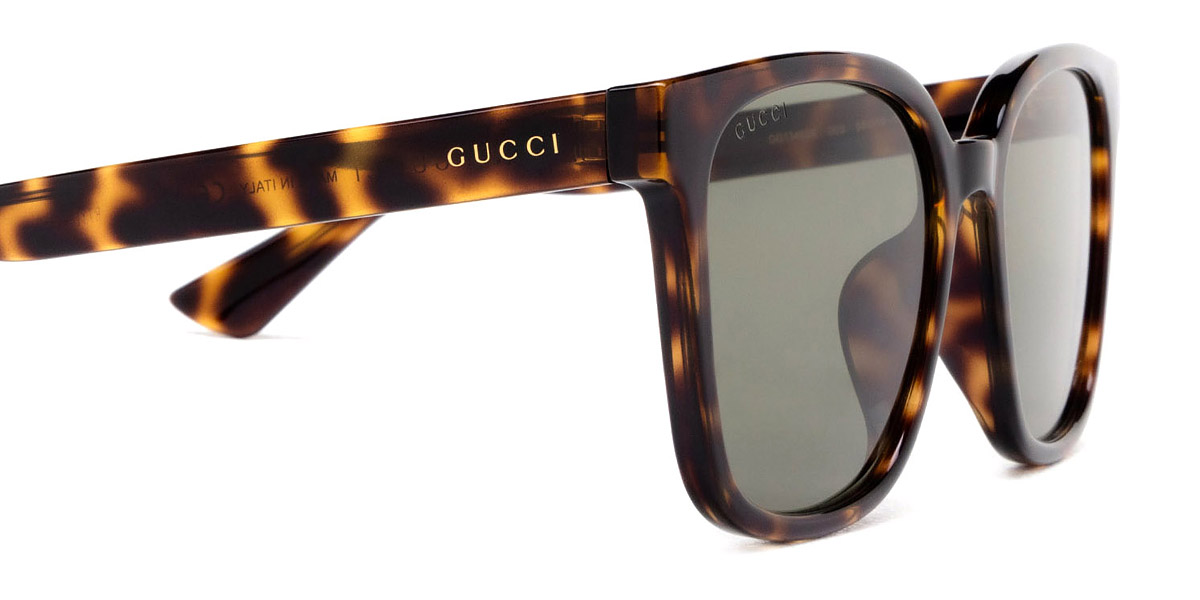 Color: Havana (003) - Gucci GG1346SK00356