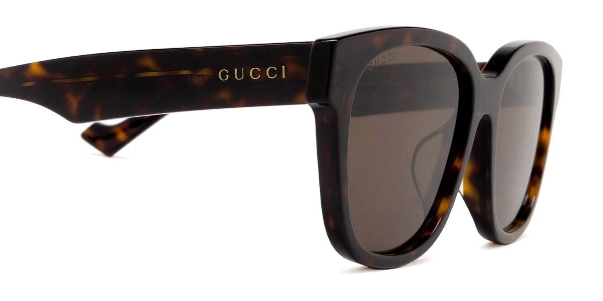 Color: Havana (002) - Gucci GG1430SK00257