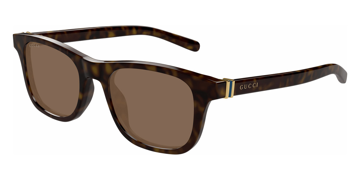 Color: Havana (006) - Gucci GG1671S00653