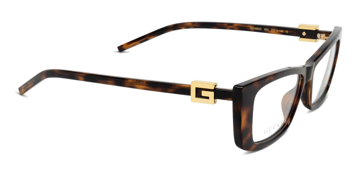 Color: Havana (003) - Gucci GG1682O00353