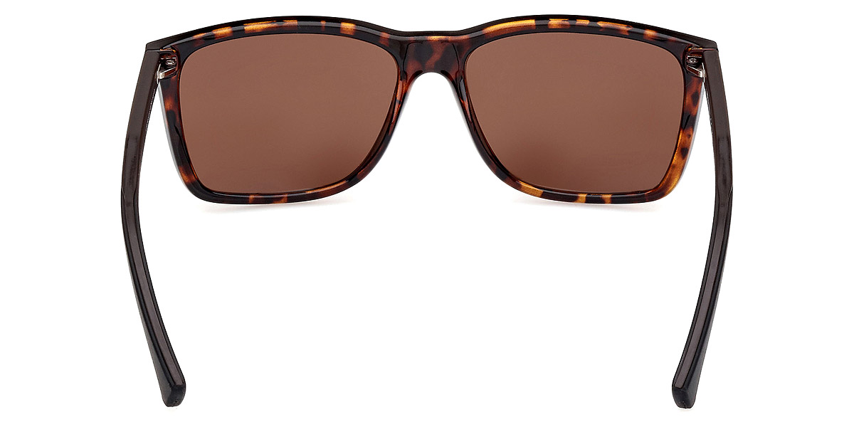 Color: Dark Havana (52B) - Harley Davidson HD0674S52B57