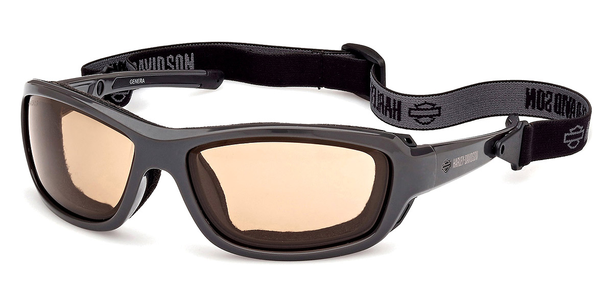 Color: Shiny Gray (20E) - Harley Davidson HZ000220E65