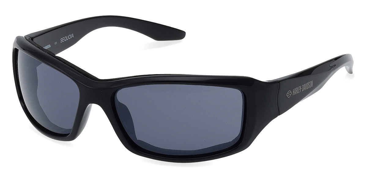 Color: Shiny Black (01A) - Harley Davidson HZ002701A60