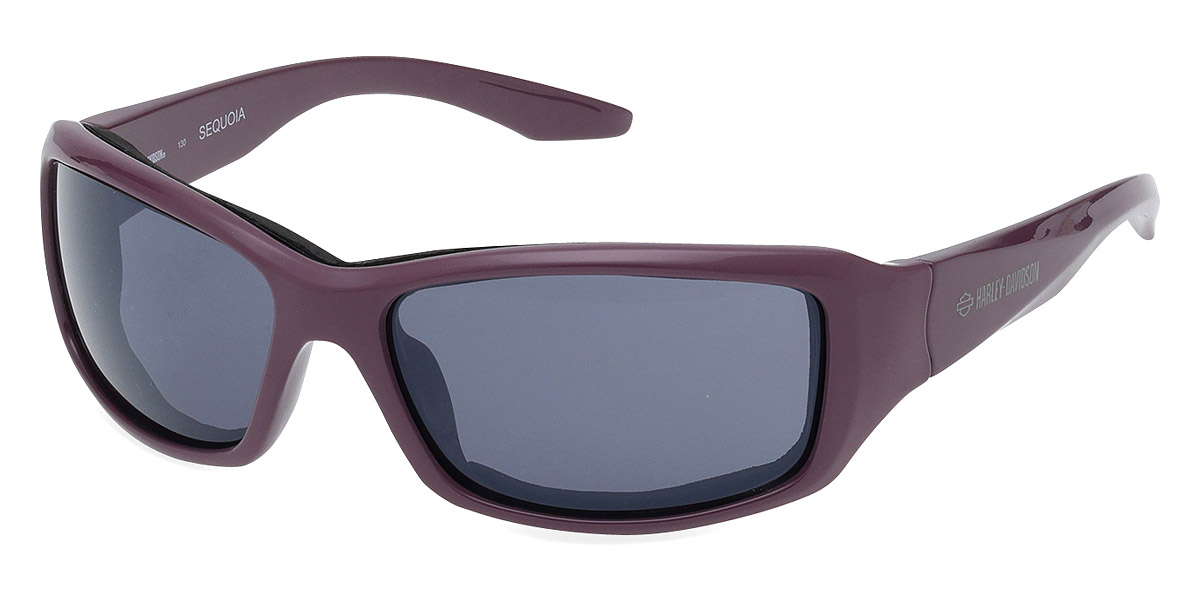 Color: Shiny Violet (81A) - Harley Davidson HZ002781A60