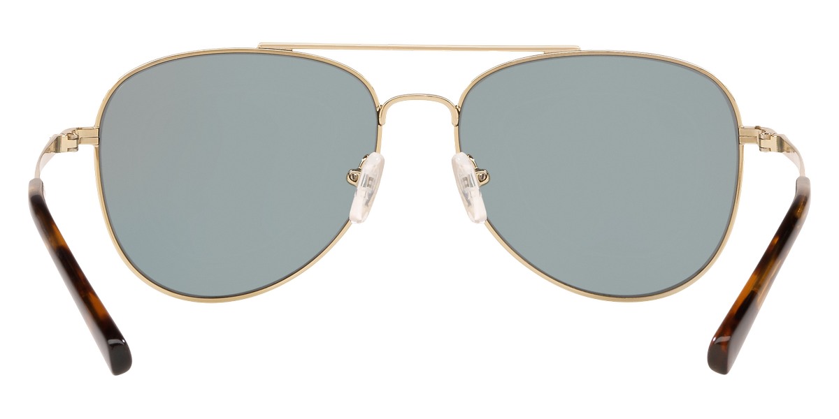 Mk1045 sunglasses hotsell