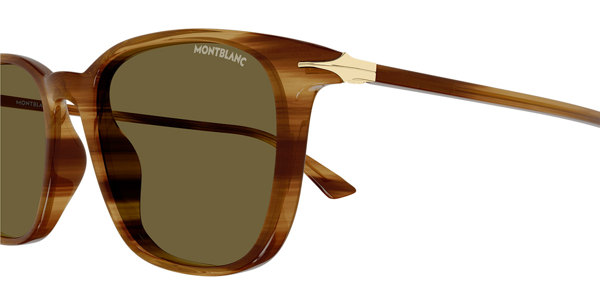 Color: Brown (004) - Montblanc MB0338S00452