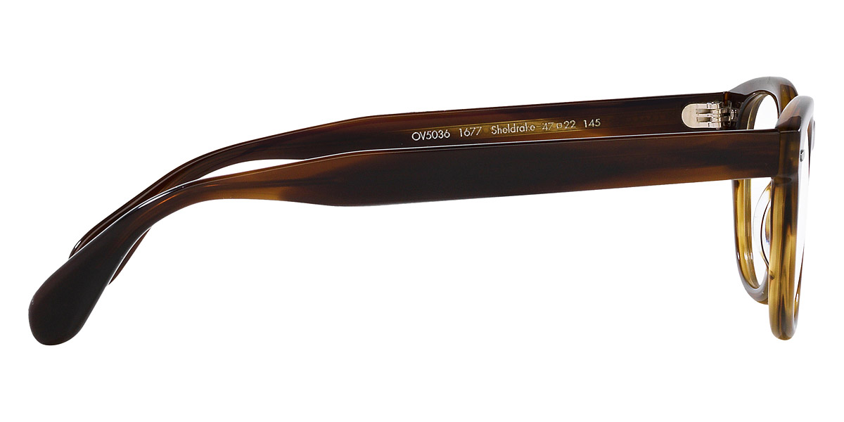 Color: Bark (1677) - Oliver Peoples OV5036167749