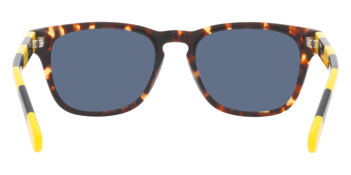 Color: Shiny Antique Tortoise (513480) - Polo PP950351348048