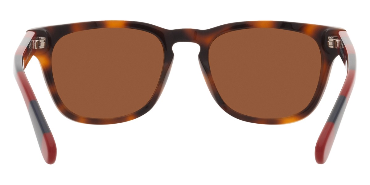 Color: Shiny Jc Tortoise (530373) - Polo PP950353037348