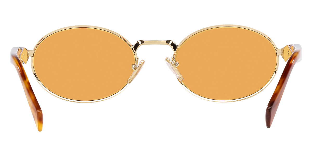 Color: Pale Gold and Light Tortoise (ZVN02Z) - Prada PR65ZSZVN02Z55