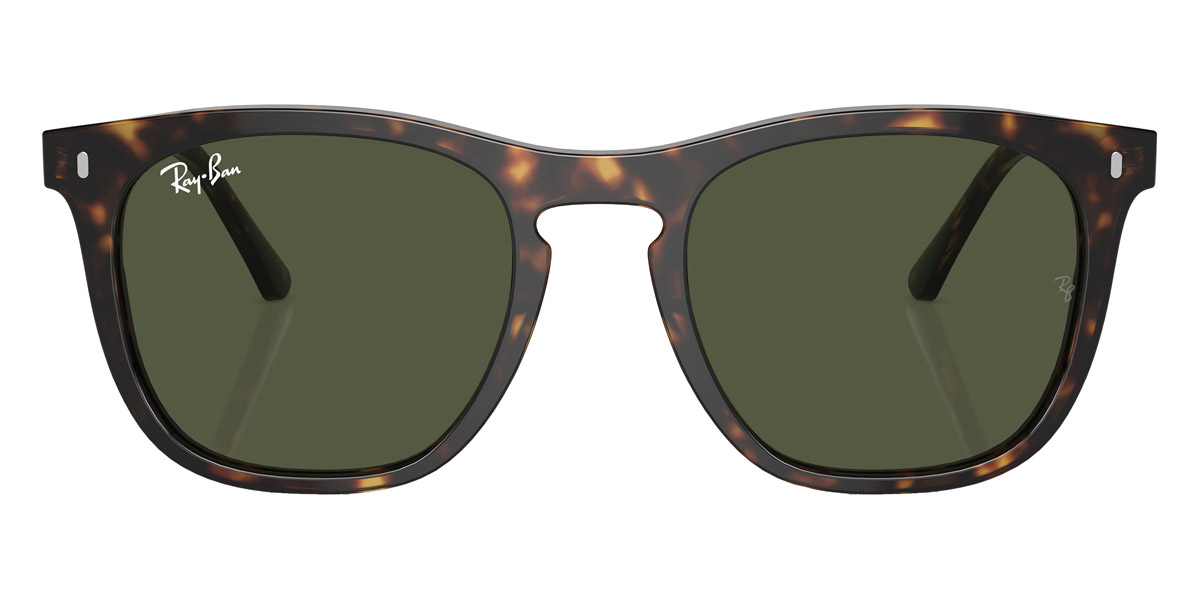 Ray-Ban™ - RB2210F