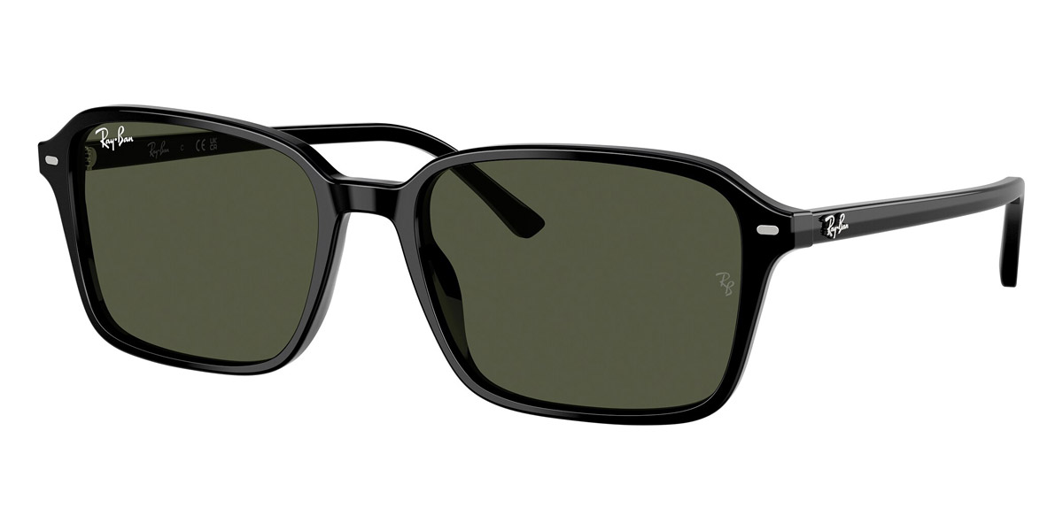 Ray-Ban™ - Raimond RB2231