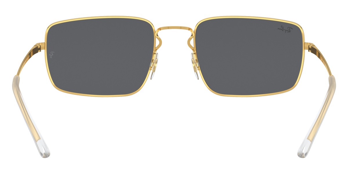 Ray-Ban™ - RB3669