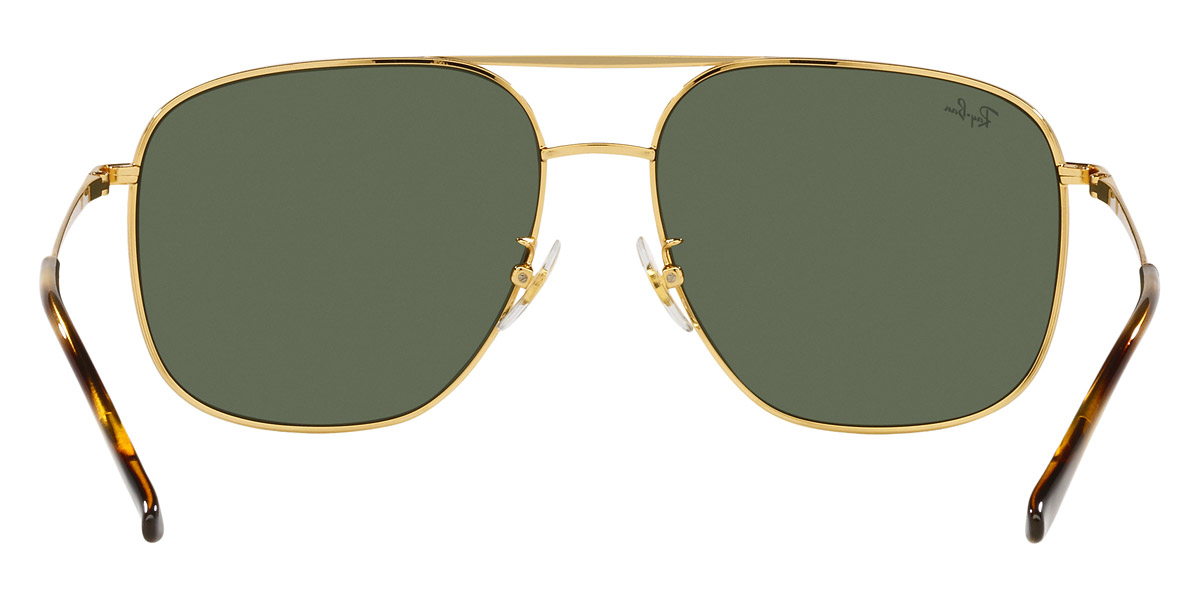 Ray-Ban™ - RB3679D