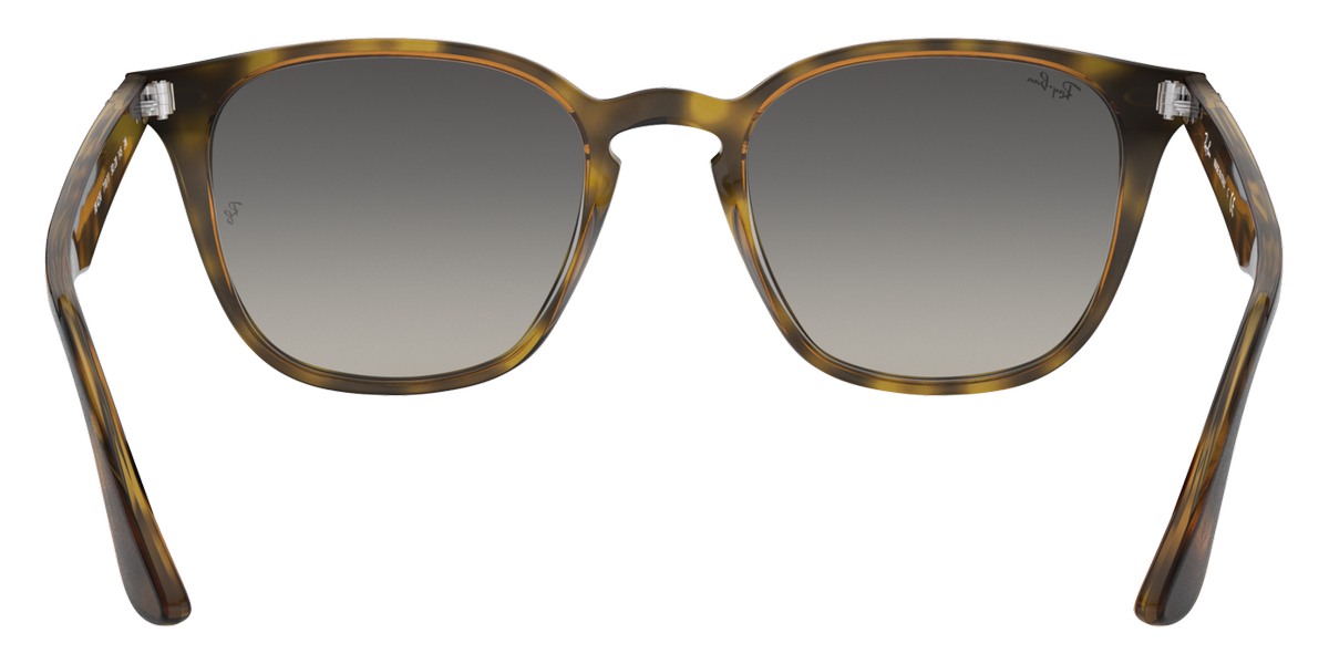 Ray-Ban™ - RB4258